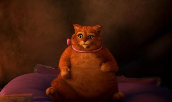 Шрек 3 кот в сапогах