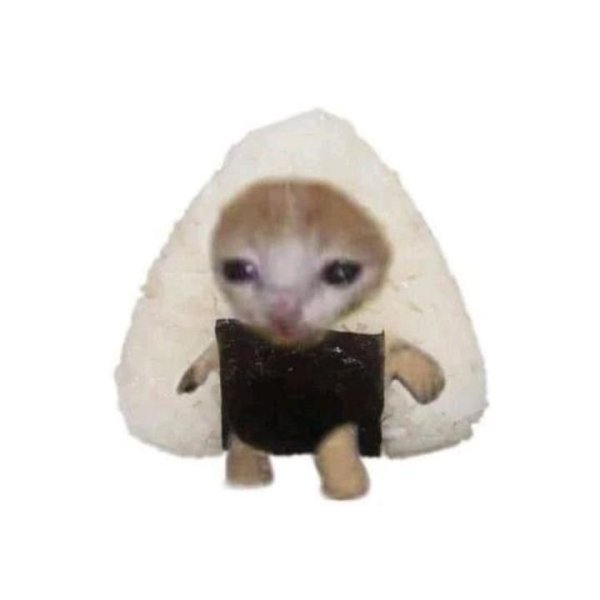 Котик в костюме бананчика