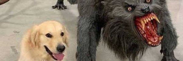 Мем лабрадор и оборотень