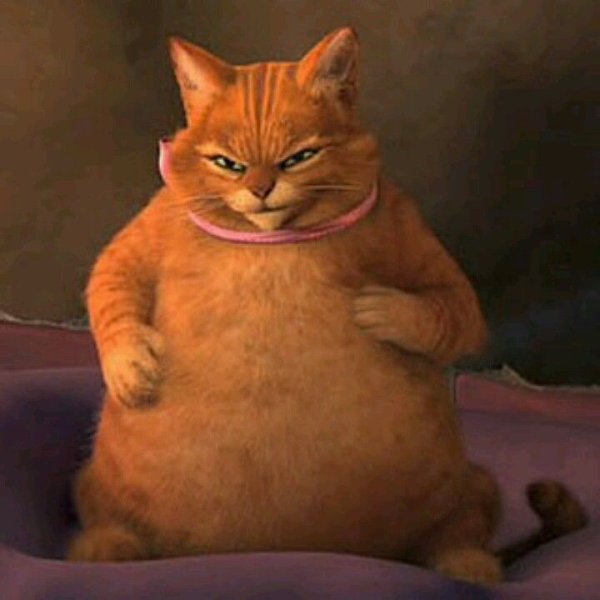 Шрек 3 кот в сапогах