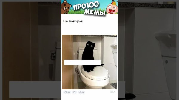 Котик повесился