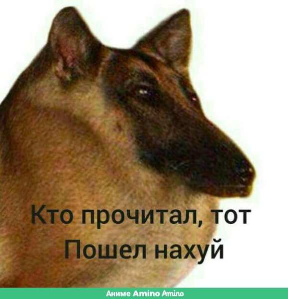 Кто прочитал тот пошел нахуй