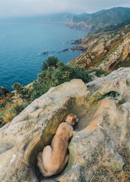 Собачья скала