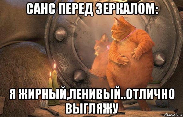 Жирный кот в сапогах meme