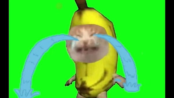 Кот в костюме банана плачет