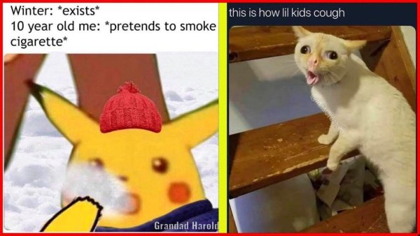 Кот кашляет Мем