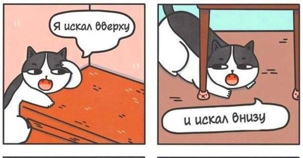 Котики на случай важных переговоров