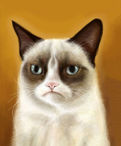 Кот Грампи Grumpy
