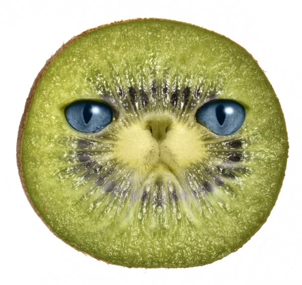 Смешные киви