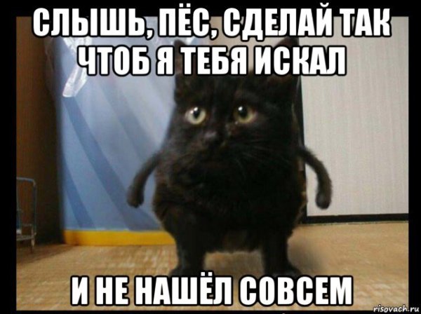 Слышь пес Мем