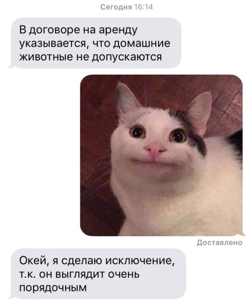 Вежливый кот Мем