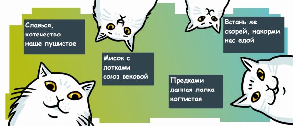 Котики из мема Наташа