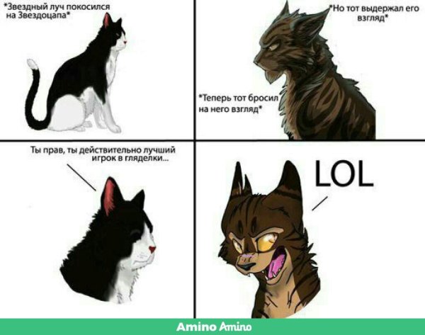 Коты Воители приколы