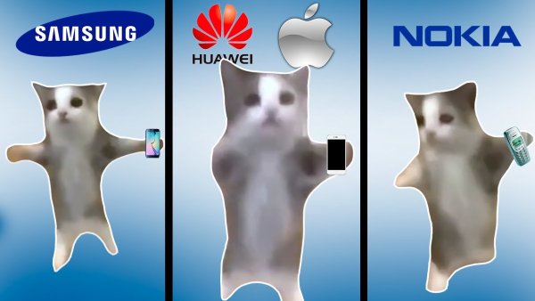 Котенок Happy Happy