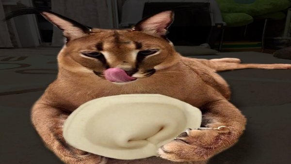 Вот он настоящий пельмень