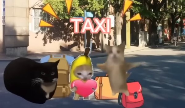 Кот Happy Happy Happy Мем