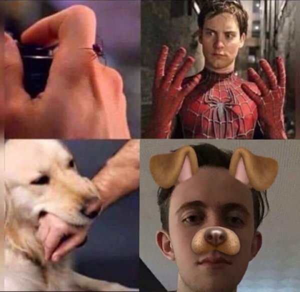 Собака кусает человека Мем