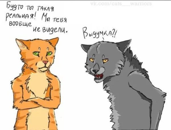 Коты Воители приколы