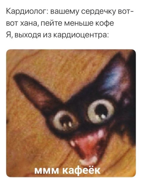 Кот с вытаращенными глазами