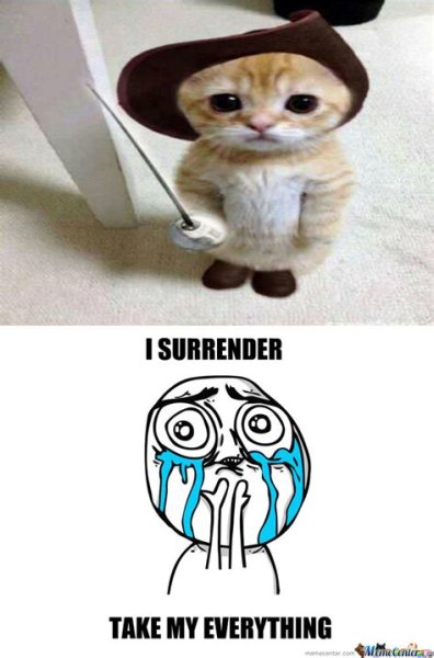 Котик в сапожках Мем