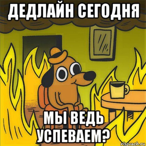 Собака в горящем доме все нормально