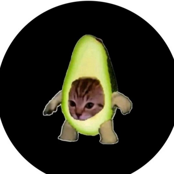 Кот фрукт Мем