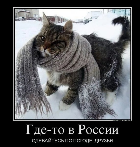 Прикольные открытки про холод