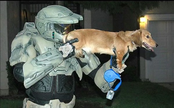 Стой стрелять буду