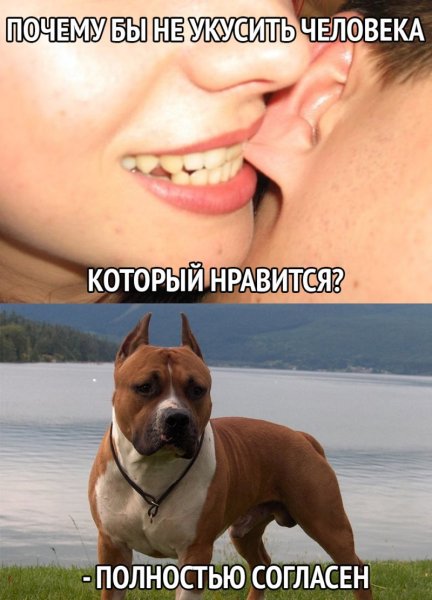 Кусается прикол
