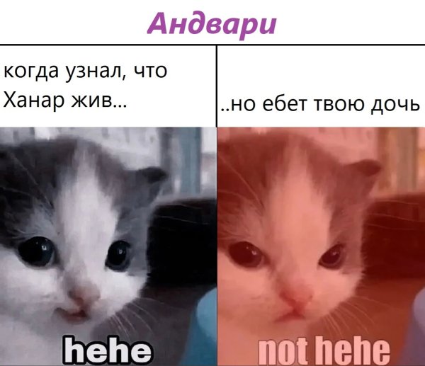 Котенок нот хехе
