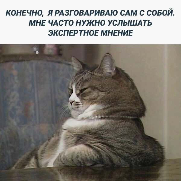 Продолжай я заинтригован Мем