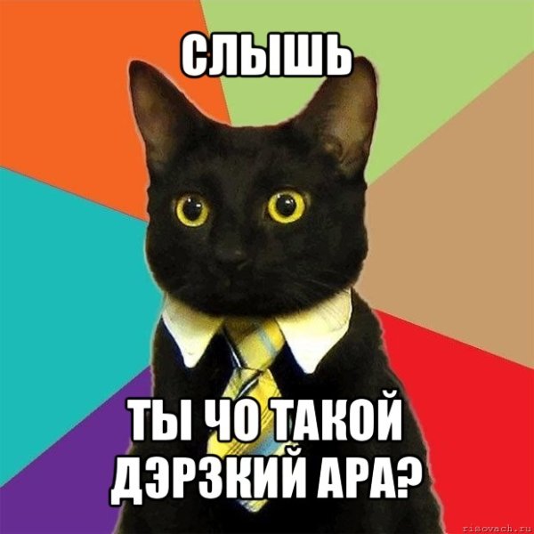 Мемы с котятами