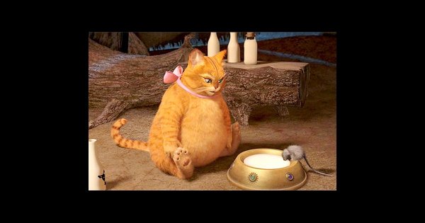 Кот в сапогах из Шрека навсегда