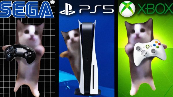 Кошачья консоль