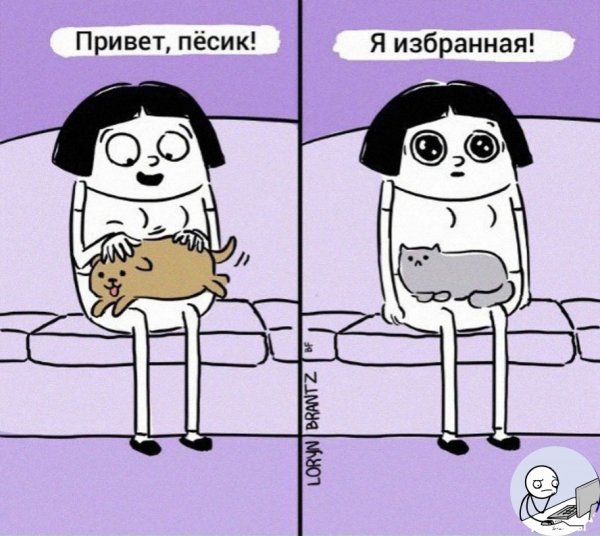 Смешные мемы