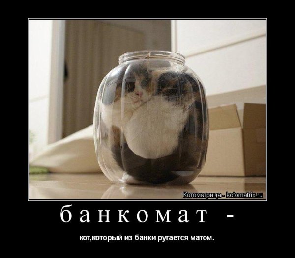 Забанили банка