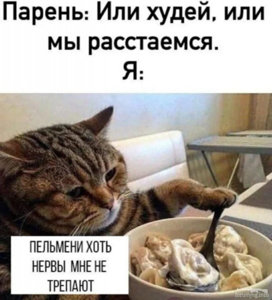 Пельмени Мем с котом