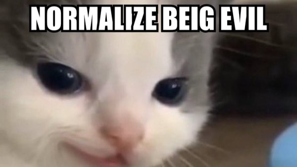 Котик hehe Мем