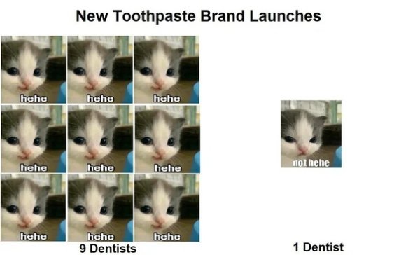 Хехе нот хехе кот