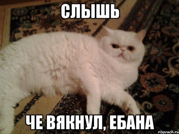 Слышь прикол