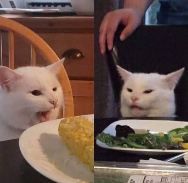 Мем с котом за столом