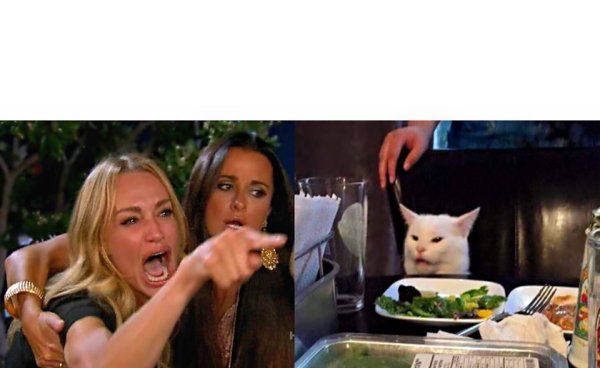 Блондинка и кот мемы