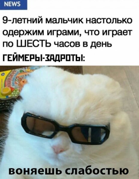 Пахнешь слабостью Мем с котом