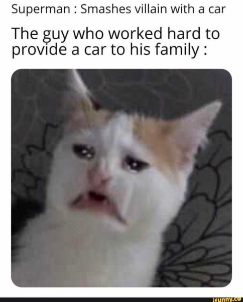 Кот отвращение