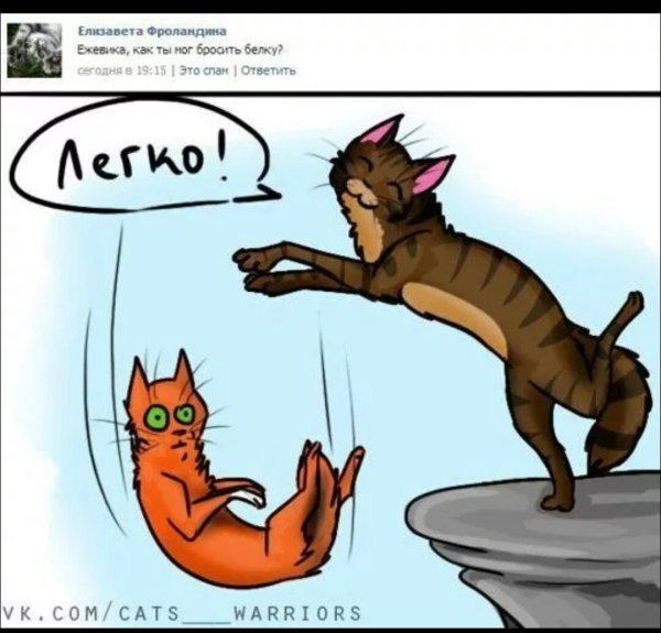 Коты Воители приколы комиксы