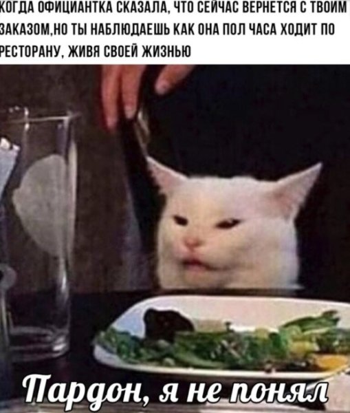 Мем с котом за столом