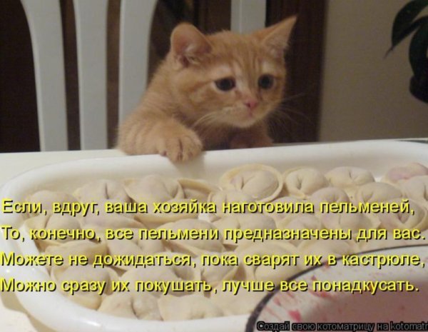 Лепить пельмени прикол