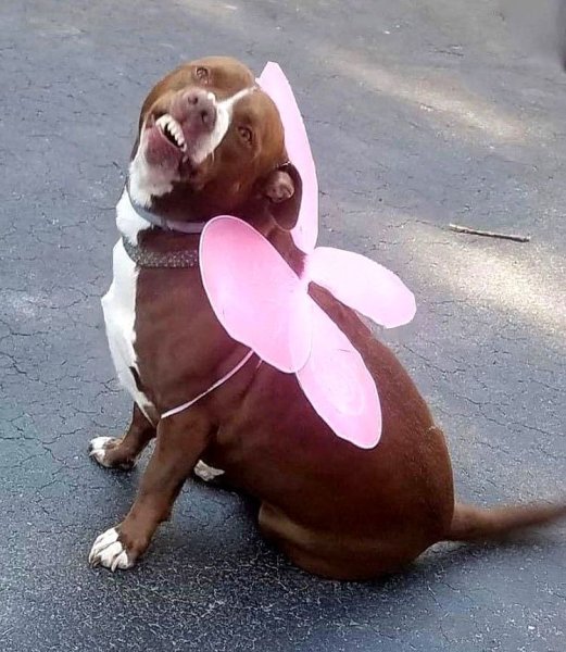 Позитивные фото для поднятия настроения