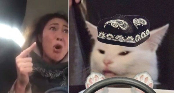 Орущие коты из мемов