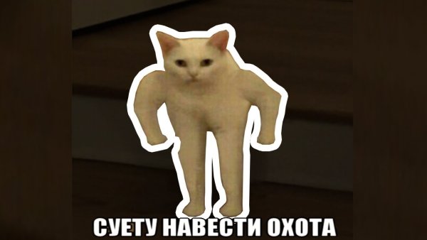 Кот Мем